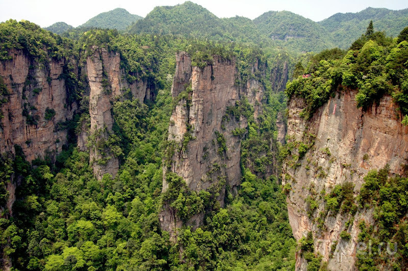 Горы Аватара в Zhangjiajie / Китай