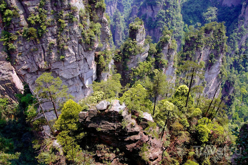 Горы Аватара в Zhangjiajie / Китай