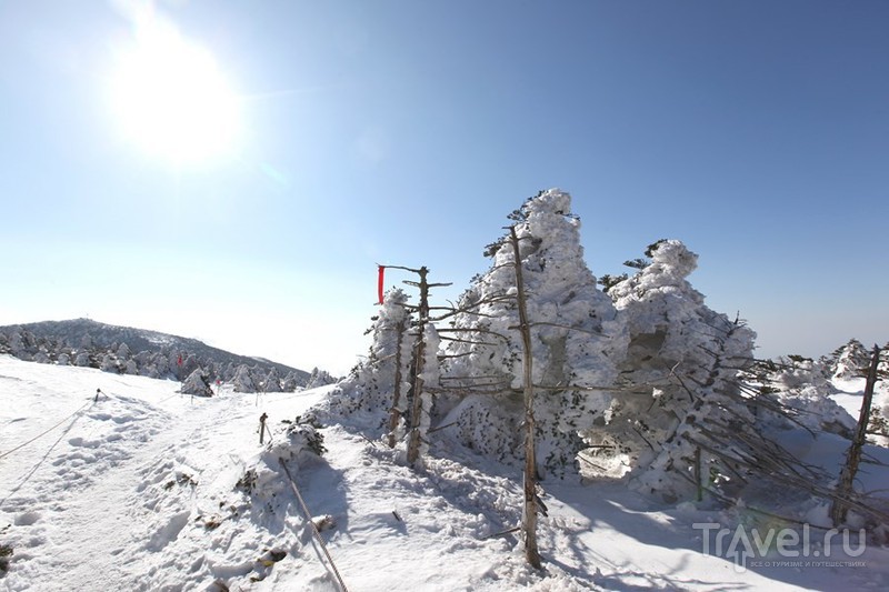 Cнега главной горы Южной Кореи - Халласан, а также храм Кванымса / Южная Корея