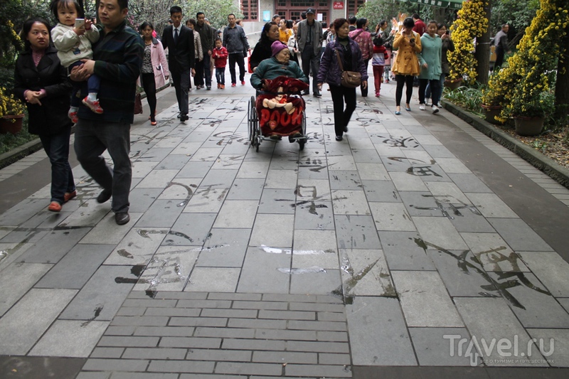 Китай: Чэнду - панды, танцы и езда по-китайски / Китай