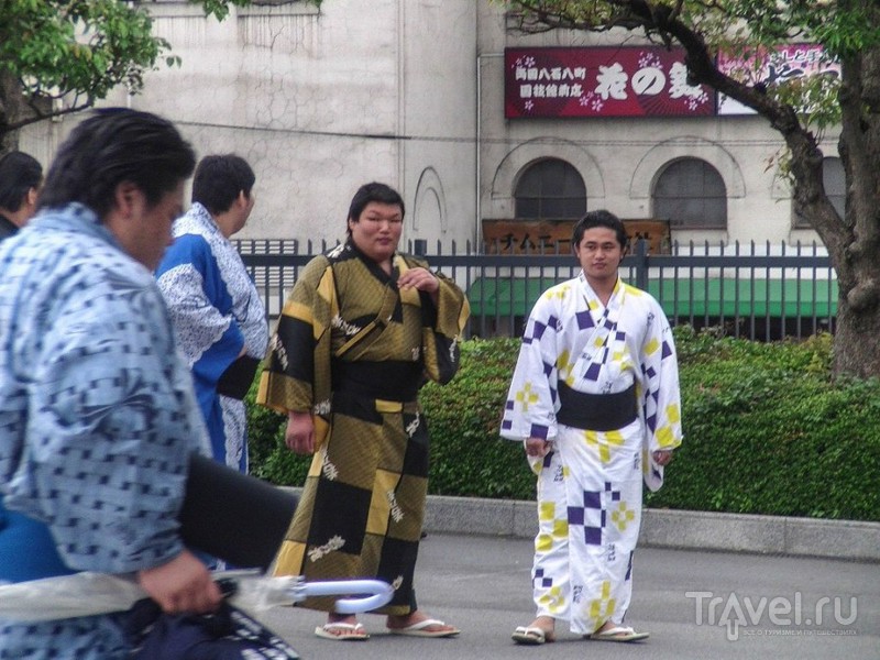 Токийский район Рёгоку или в гостях у сумоистов / Япония