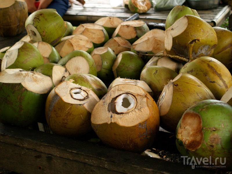 Королевские кокосы на острове Самуй в Таиланде / Фото из Таиланда