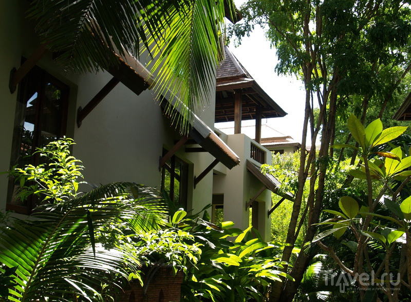 Коттеджи в отеле Muang Samui Villa and Suite на острове Самуй, Таиланд / Фото из Таиланда