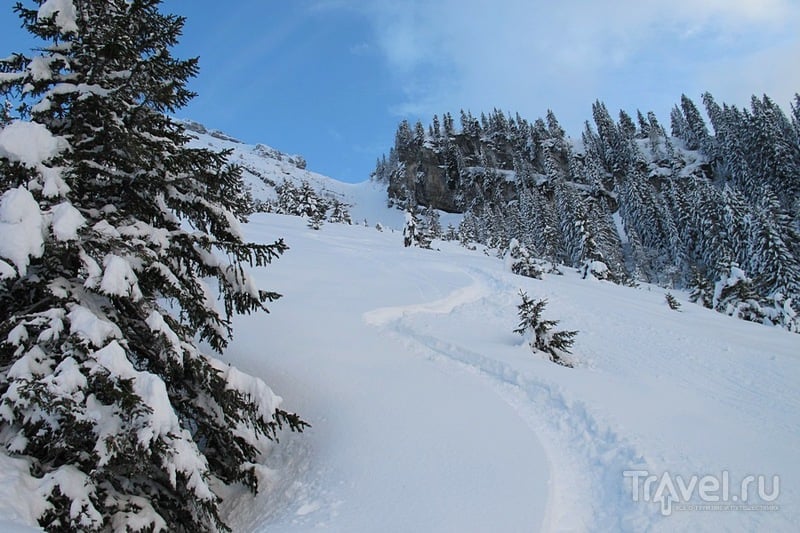 В Альпы снова вернулась зима! / Фото из Франции