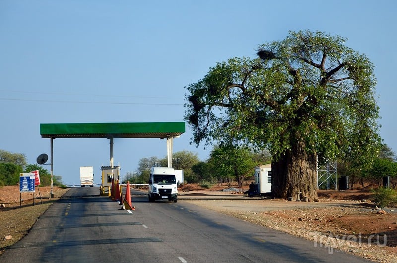Ужасы зимбабвийской границы и прекрасный город Булавайо / Зимбабве