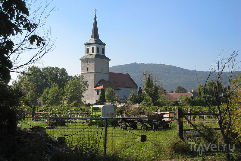 Один день в австрийской деревне. Нижняя Австрия / Фото из Австрии