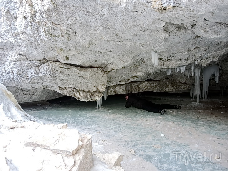 Поездка в Пинегу: олени и пещеры / Россия