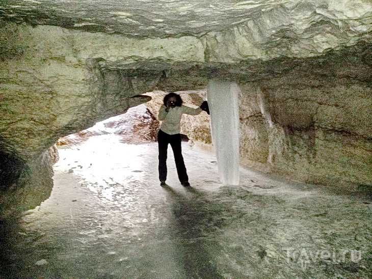 Поездка в Пинегу: олени и пещеры / Россия
