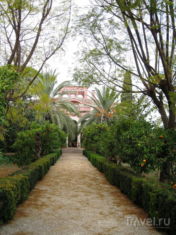 Сад Альбарда в Педрегере, область Валенсия / Испания