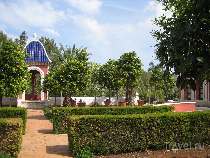 Сад Альбарда в Педрегере, область Валенсия / Испания