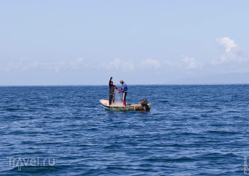 Доминикана. Экскурсия: дорога, киты, "райский" остров / Фото из Доминиканской Республики