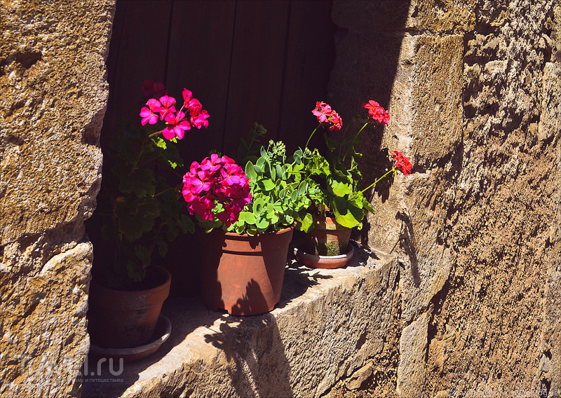 Flavigny sur Ozerain.  /   