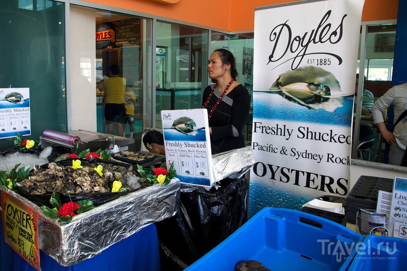 Австралия, Sydney Fish Market / Австралия