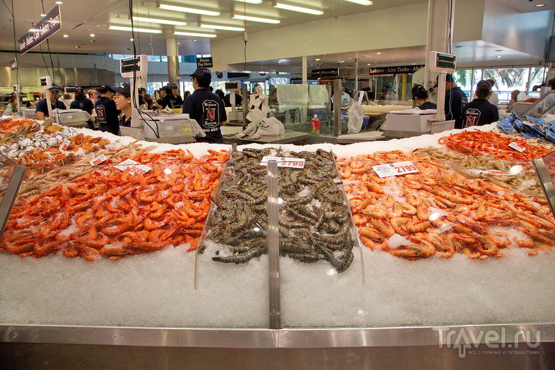 Австралия, Sydney Fish Market / Австралия