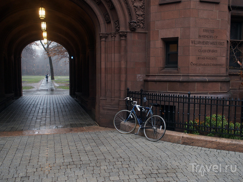 Yale University, New Haven / Фото из США