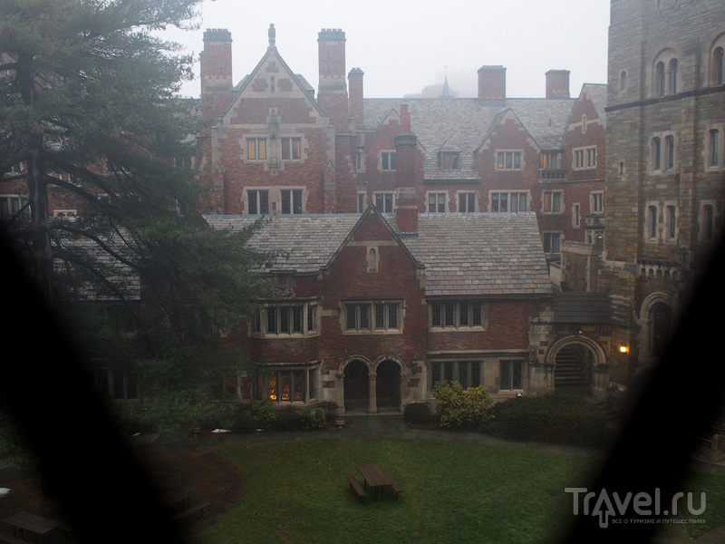 Yale University, New Haven /   