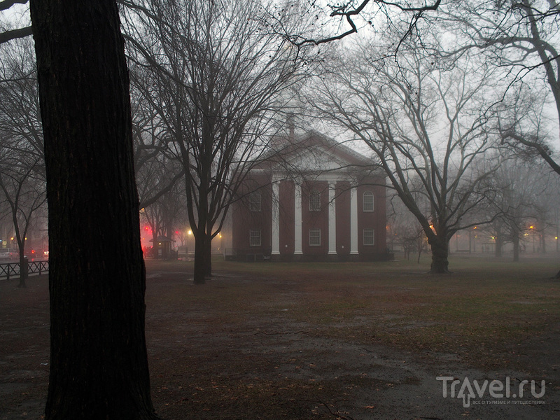 Yale University, New Haven / Фото из США