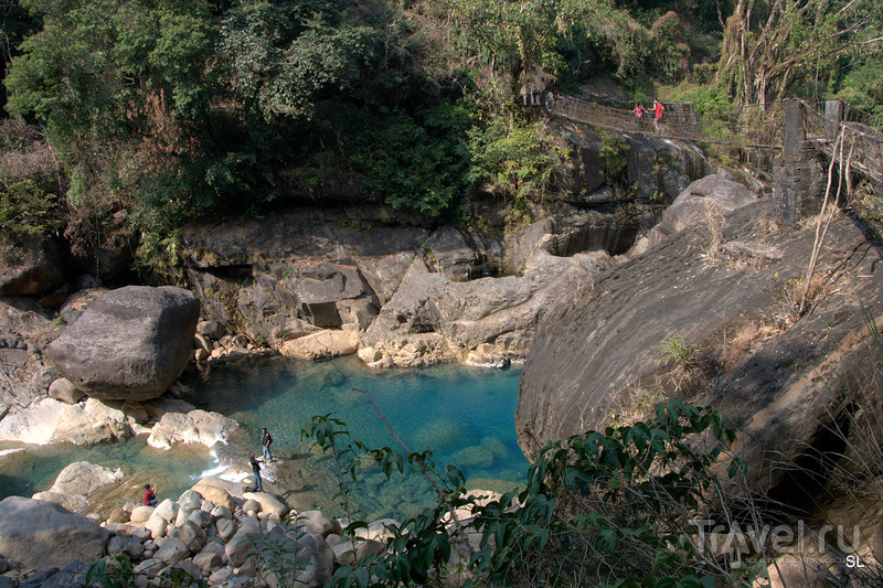 Living root bridges / Фото из Индии
