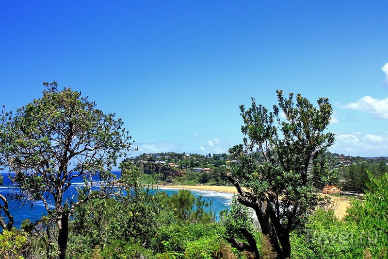 Северные пляжи Сиднея / Фото из Австралии