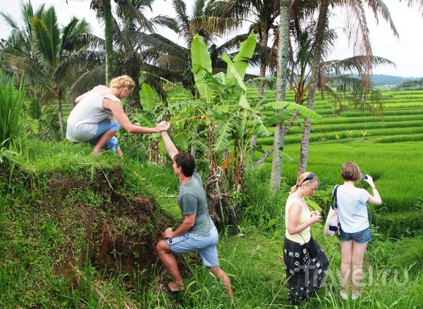 Джатилувих: рисовые террасы под охраной ЮНЕСКО / Индонезия