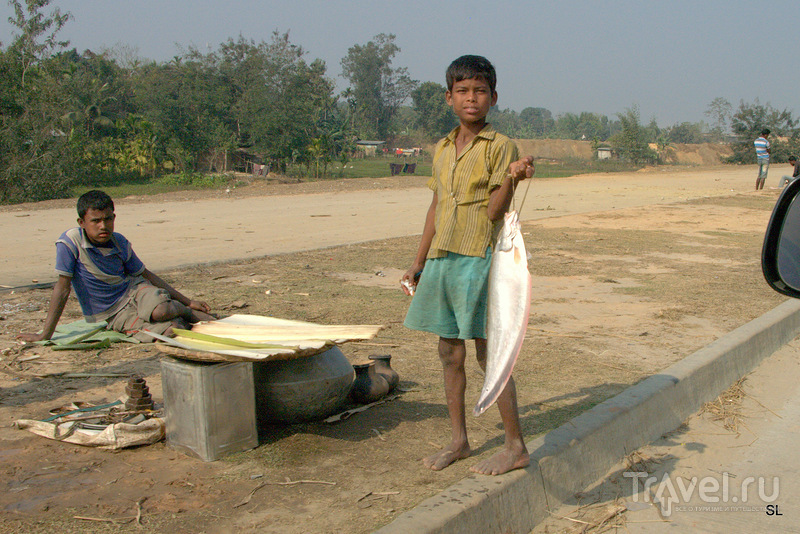 Magh Bihu - Bhogali Bihu Festival /   