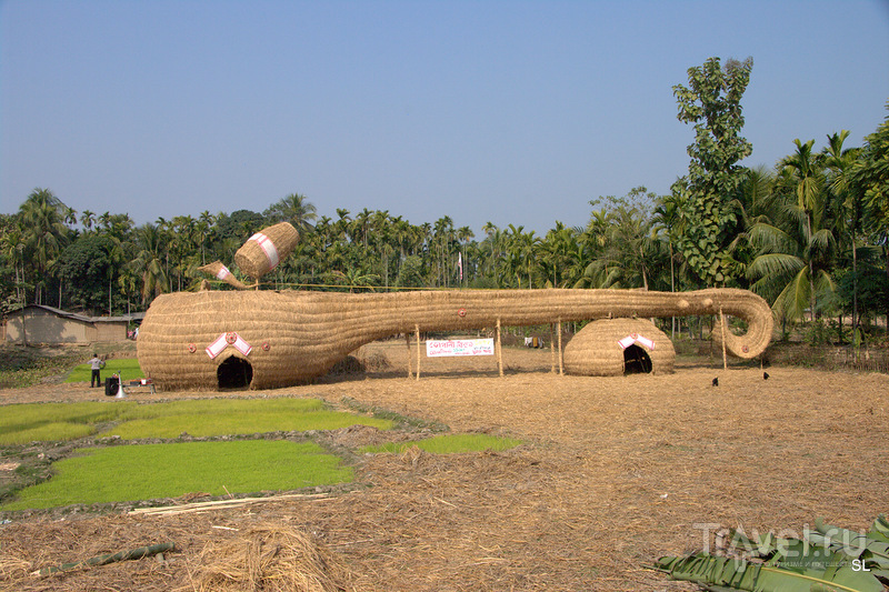 Magh Bihu - Bhogali Bihu Festival /   