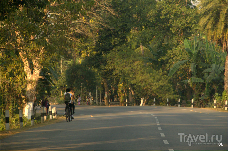 Magh Bihu - Bhogali Bihu Festival /   