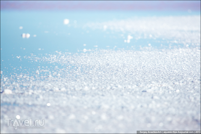 Крымские чудеса. Самое соленое озеро в Крыму / Фото из России