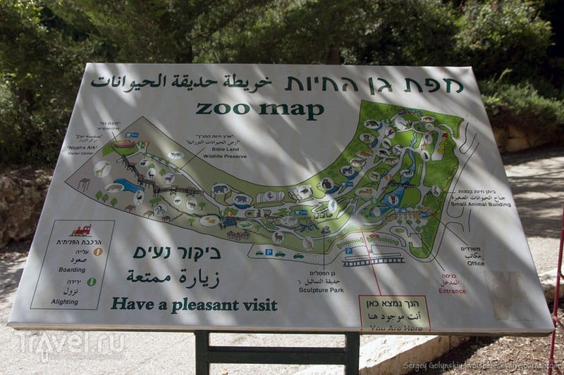 Зоопарк в Иерусалиме / Израиль