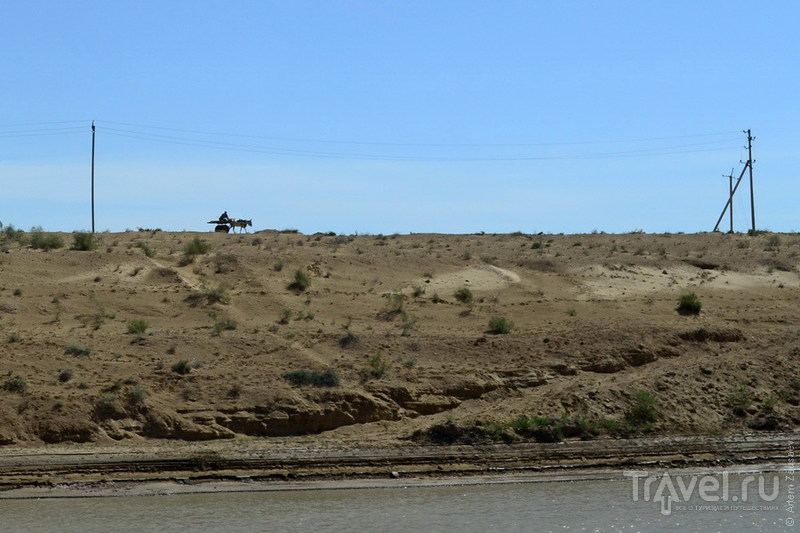 Узбекистан. Пустыня Кызылкум. Апрель 2011 / Фото из Узбекистана