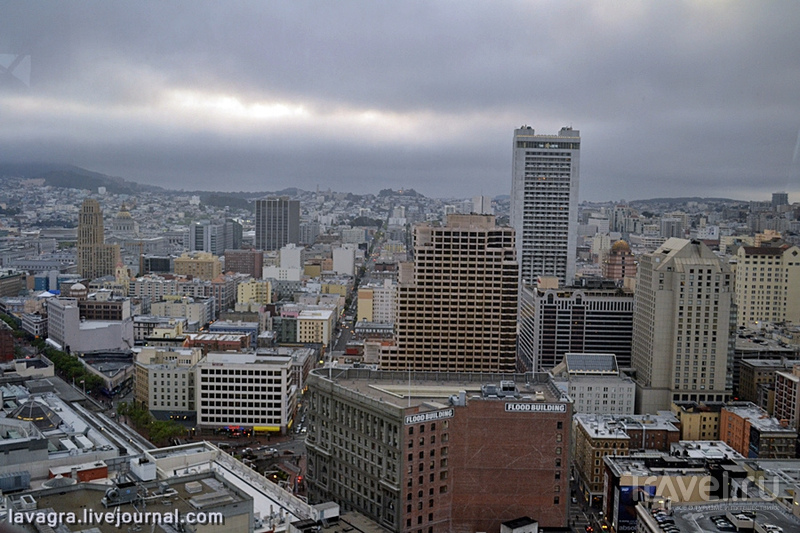 Сан-Франциско – между холмов и туманов / Фото из США
