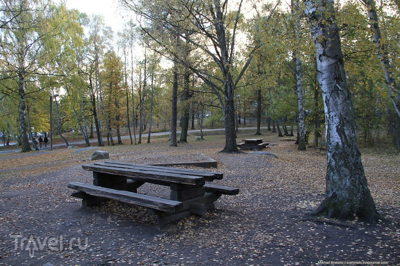 Осенний парк в Стокгольме / Швеция
