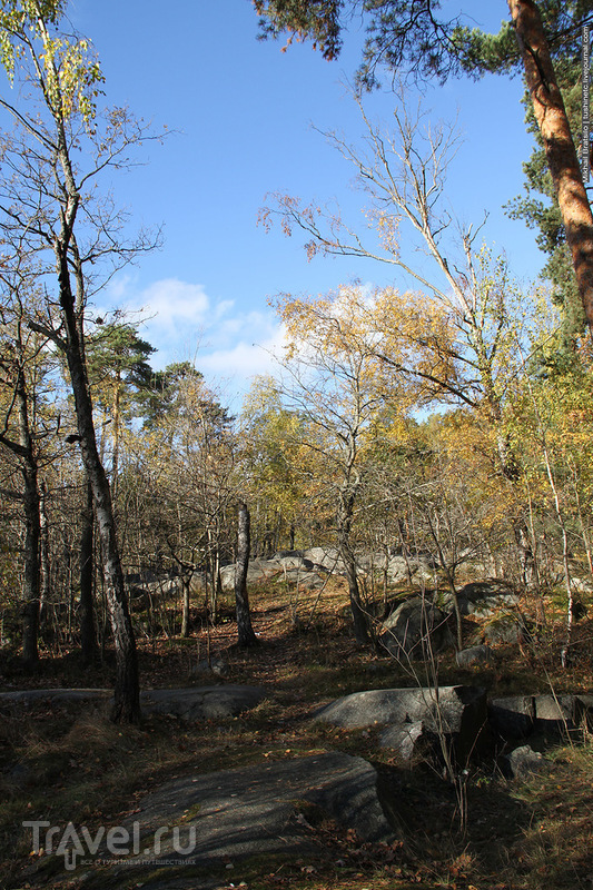 Осенний парк в Стокгольме / Швеция