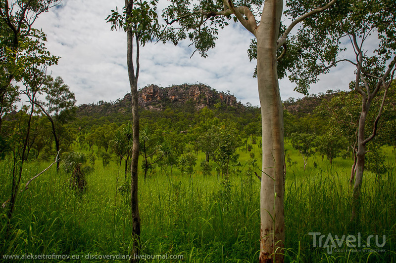 Затерянный мир парка Какаду / Фото из Австралии