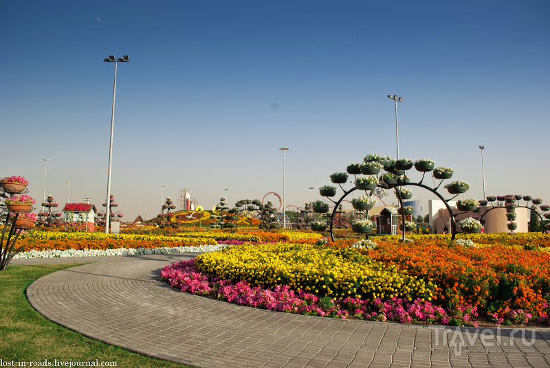 Dubai Miracle Garden.   /   