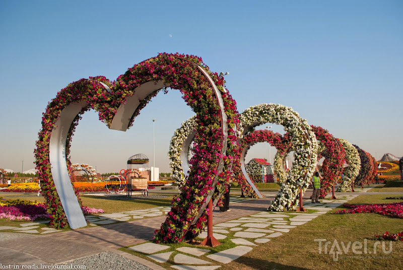 Dubai Miracle Garden. Сад цветов / Фото из ОАЭ
