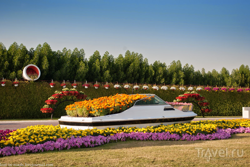 Dubai Miracle Garden. Сад цветов / Фото из ОАЭ