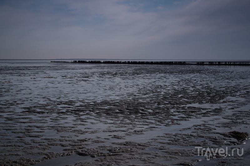 Нидерланды - Ваттовое море, Гитхорн, Мёйдерслот, Эдам / Фото из Нидерландов