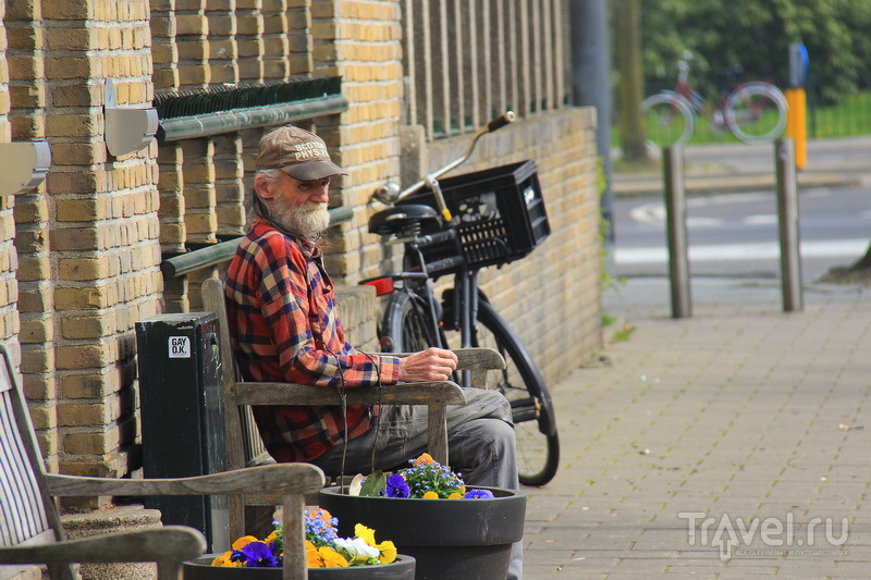Лучше Амстердама - только Амстердам, или цветы - дело не женское / Фото из Нидерландов