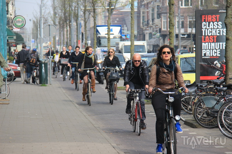 Лучше Амстердама - только Амстердам, или цветы - дело не женское / Фото из Нидерландов