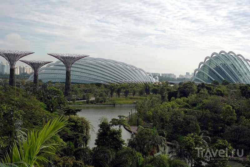 Gardens by the Bay или все в сад! / Фото из Сингапура