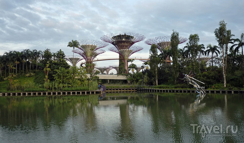 Gardens by the Bay    ! /   