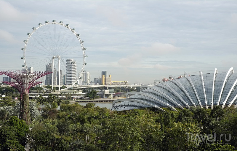 Gardens by the Bay    ! /   