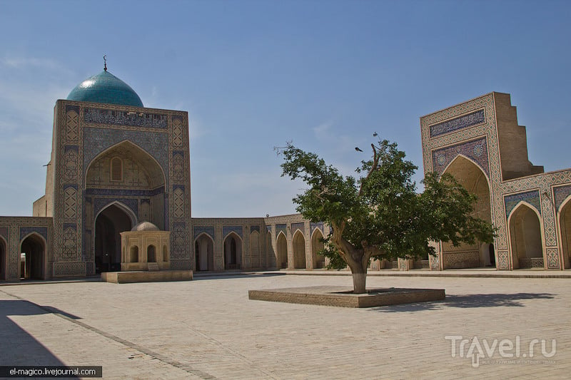Волшебная Бухара - город, который умеет в себя влюблять с первого взгляда / Фото из Узбекистана