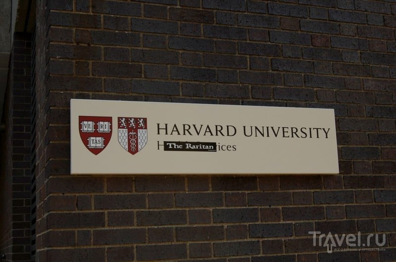 Лига Плюща: Гарвард / США