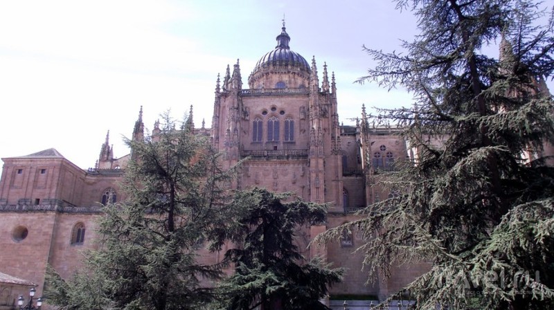 Испания, Саламанка (Salamanca) / Испания