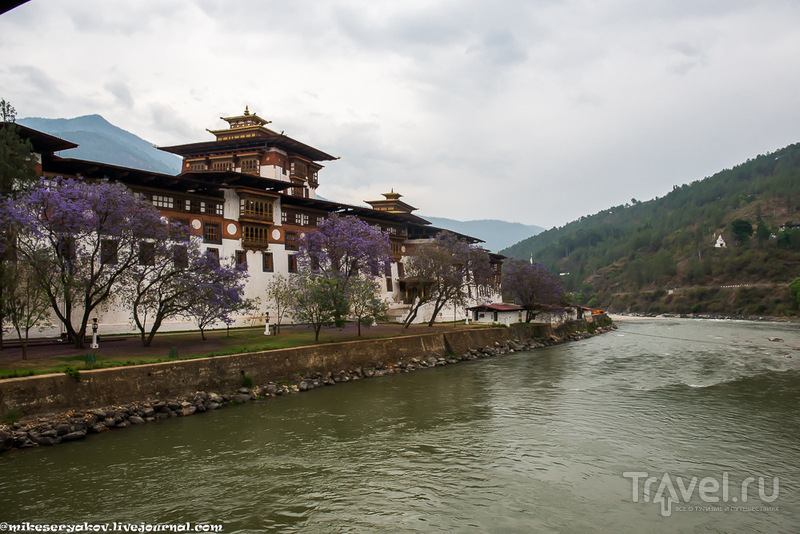 Самый красивый дзонг Бутана и фаллосы / Фото из Бутана