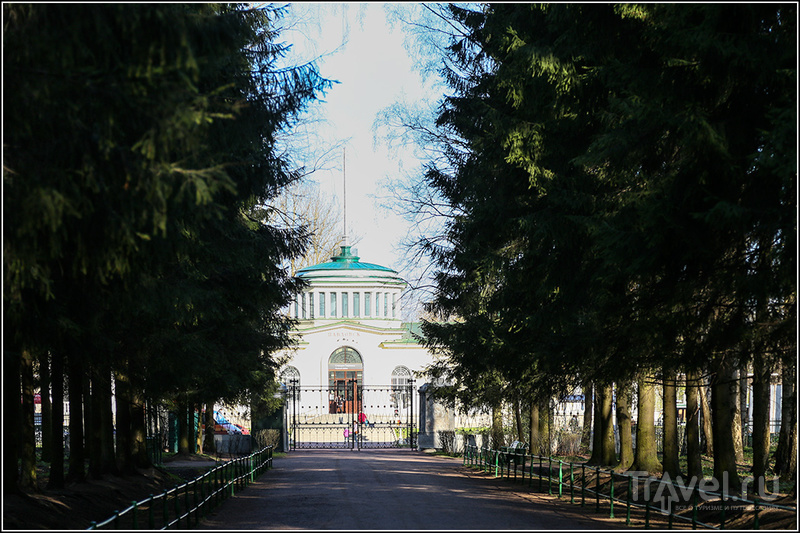 Самый красивый в России парк / Фото из России