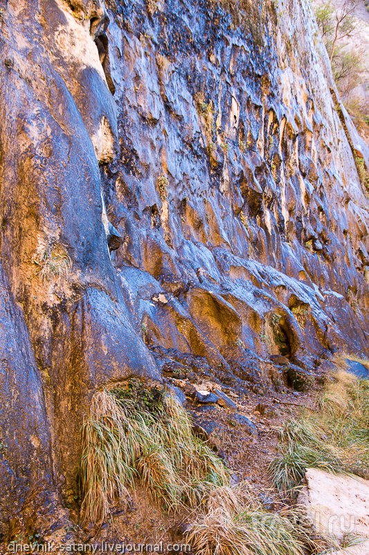 Национальный парк Зайон, США / Фото из США