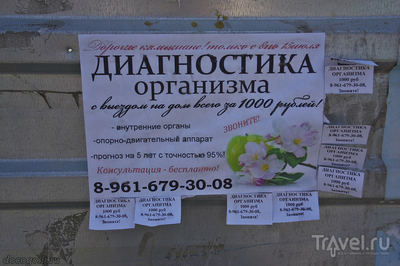 Камышин, снова неравнодушно / Фото из России